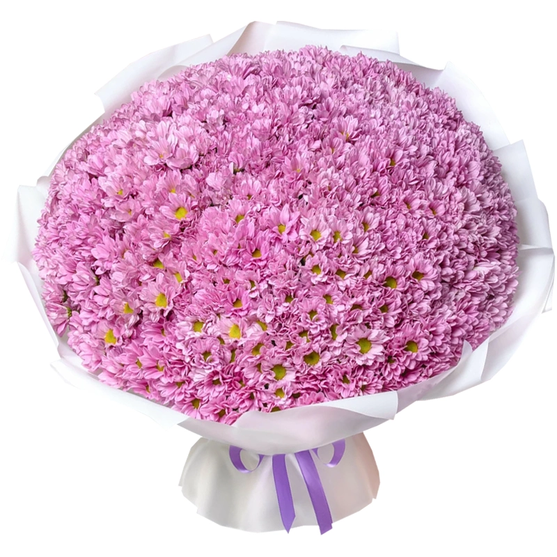 Букет из 101 розовой ромашковой хризантемы