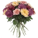 Хризантемы одноголовые строгий микс